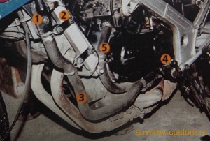 Соединение шлангами радиатора и двигателя.