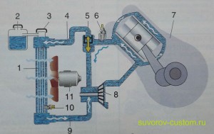 Рис 1.Жидкостная система охлаждения мотоцикла.
1 - радиатор, 2 - расширительный бачок, 3 - пробка радиатора, 4 - верхний резиновый патрубок, 5 - термостат, 6 - датчик температуры, 7 - двигатель мотоцикла, 8 - помпа, 9 - нижний резиновый патрубок, 10 - датчик включения вентилятора, 11 - моторчик вентилятора.